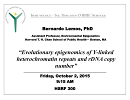 “Evolutionary epigenomics of Y-linked heterochromatin repeats and rDNA copy number” Bernardo Lemos, PhD