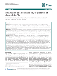 Paramecium BBS genes are key to presence of channels in Cilia