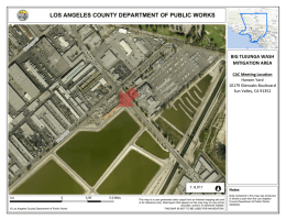 LOS ANGELES COUNTY DEPARTMENT OF PUBLIC WORKS BIG TUJUNGA WASH MITIGATION AREA