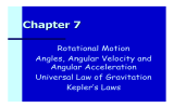 Chapter 7