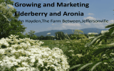 Growing and Marketing Elderberry and Aronia John Hayden,The Farm Between,Jeffersonville