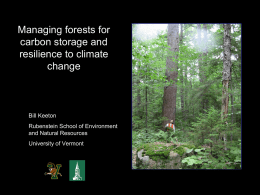 Managing forests for carbon storage and resilience to climate change