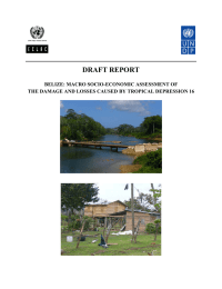 DRAFT REPORT  BELIZE: MACRO SOCIO-ECONOMIC ASSESSMENT OF