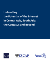 Unleashing the Potential of the Internet in Central Asia, South Asia,