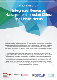 Integrated Resource Management in Asian Cities: The Urban Nexus POLICY BRIEF ON