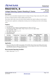 RNA51957A, B  Datasheet Voltage Detecting, System Resetting IC Series