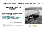 VERMONT ‘TREE HISTORY,’ PT.1 “WHICH TREE IS THAT?” What important Vermont trees