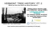 VERMONT ‘TREE HISTORY,’ PT. 2
