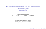 Financial Intermediation and the International Business Cycle Discussion