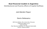 Real-financial models in Argentina Job Market Paper Dario Debowicz