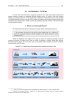 XV.  INTERMODAL SYSTEMS