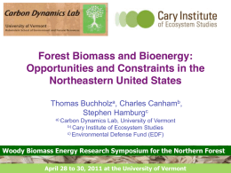 Forest Biomass and Bioenergy: Opportunities and Constraints in the Northeastern United States