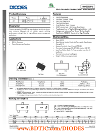 DMG302PU Product Summary Features