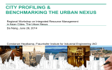 CITY PROFILING &amp; BENCHMARKING THE URBAN NEXUS
