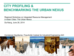 CITY PROFILING &amp; BENCHMARKING THE URBAN NEXUS