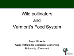 Wild pollinators and Vermont’s Food System