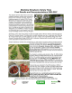 Manitoba Strawberry Variety Trials Final Results and Recommendations 2005-2007