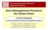 Best Management Practices  for Onion Pests Christy Hoepting Cornell Cooperative Extension