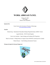 WORK ABROAD PANEL