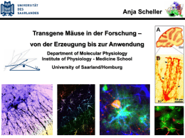 Anja Scheller Transgene Mäuse in der Forschung –