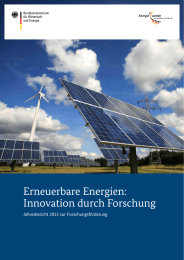 Erneuerbare Energien: Innovation durch Forschung Jahresbericht 2013 zur Forschungsförderung