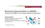 Business Opportunities in ASEAN: Issues for SMEs to Consider Before Expansion