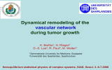 Dynamical remodeling of the during tumor growth vascular network K. Bartha