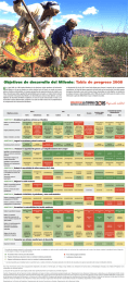 E Objetivos de desarrollo del Milenio: Tabla de progreso 2008