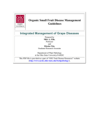 Organic Small Fruit Disease Management Guidelines Integrated Management of Grape Diseases