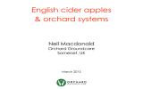 English cider apples &amp; orchard systems Neil Macdonald Orchard Groundcare