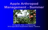 Apple Arthropod Management - Summer  Art Agnello, Dept. of Entomology