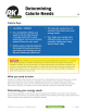 RK Determining Calorie Needs Calorie Keys