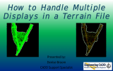 How to Handle Multiple Displays in a Terrain File Presented by: Denise Broom