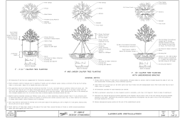 Tree Canopy Cross-Braces 1&#34;-3&#34; From Trunk Straps