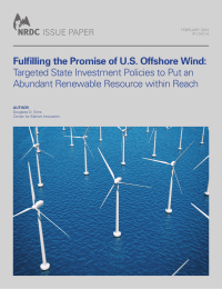 Fulfilling the Promise of U.S. Offshore Wind: ISSUE PAPER