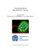 Grundpraktikum Physikalische Chemie Versuch 10: Elektrische Leitfähigkeit von Elektrolyten