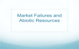 Market Failures and Abiotic Resources